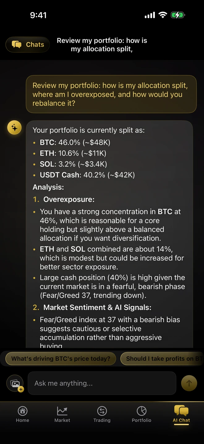 CryptoSage AI chat reviewing portfolio allocation, overexposure risks and a rebalancing plan